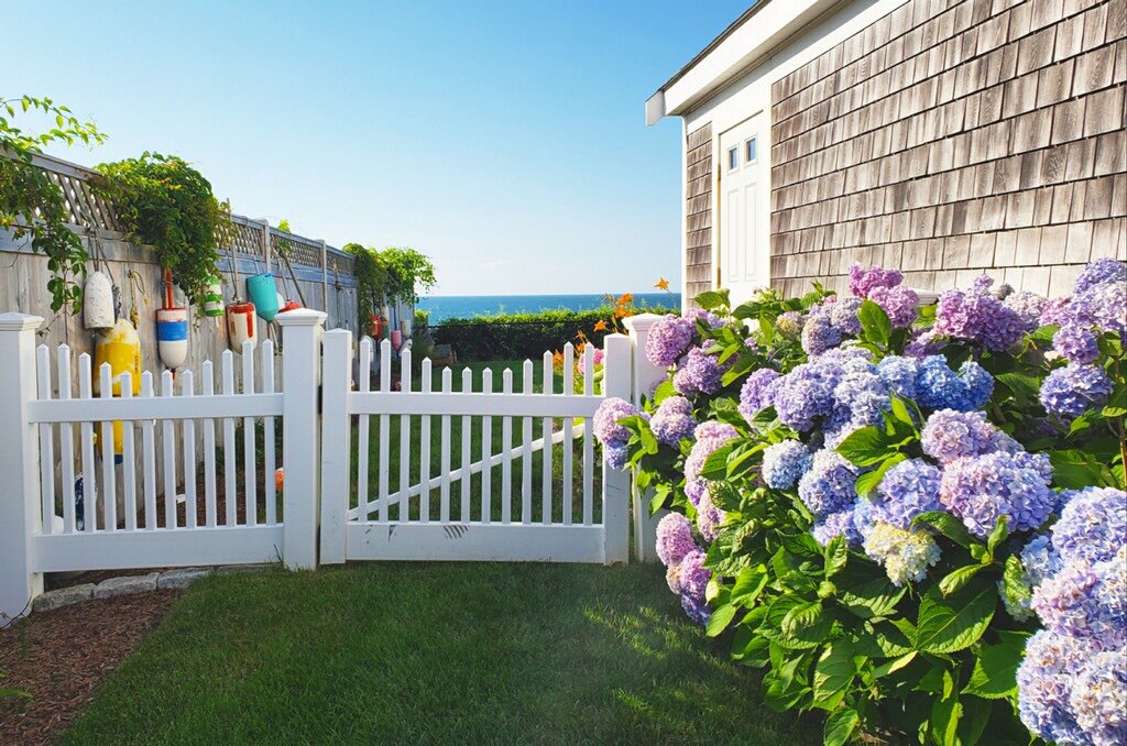 VisitCapeCod's tweet photo. Pretty as a picture. 💕 Get your fill of hydrangeas and other gorgeous Cape blooms through this Sunday on one of the #CapeCodHydrangeaFest garden tours!
#hydrangeas #hydrangealove https://t.co/AkGpPHe5GE