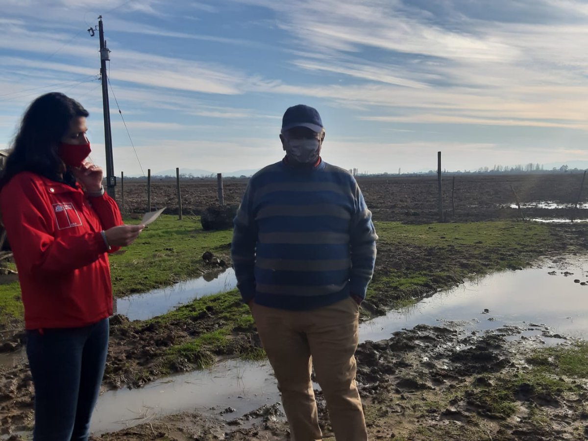 sagchile's tweet photo. Don Luis y Don Eduardo de #Parral, recibieron hoy, de manos de la Seremi de @MinagriMaule @TorresPirazzoli y del DR del SAG, Fernando Pinochet, su cheque por haber cumplido con las prácticas comprometidas en el programa de recuperación de suelos🌱de @sagchile 👏 @muniparral https://t.co/zwCqmHfGmg