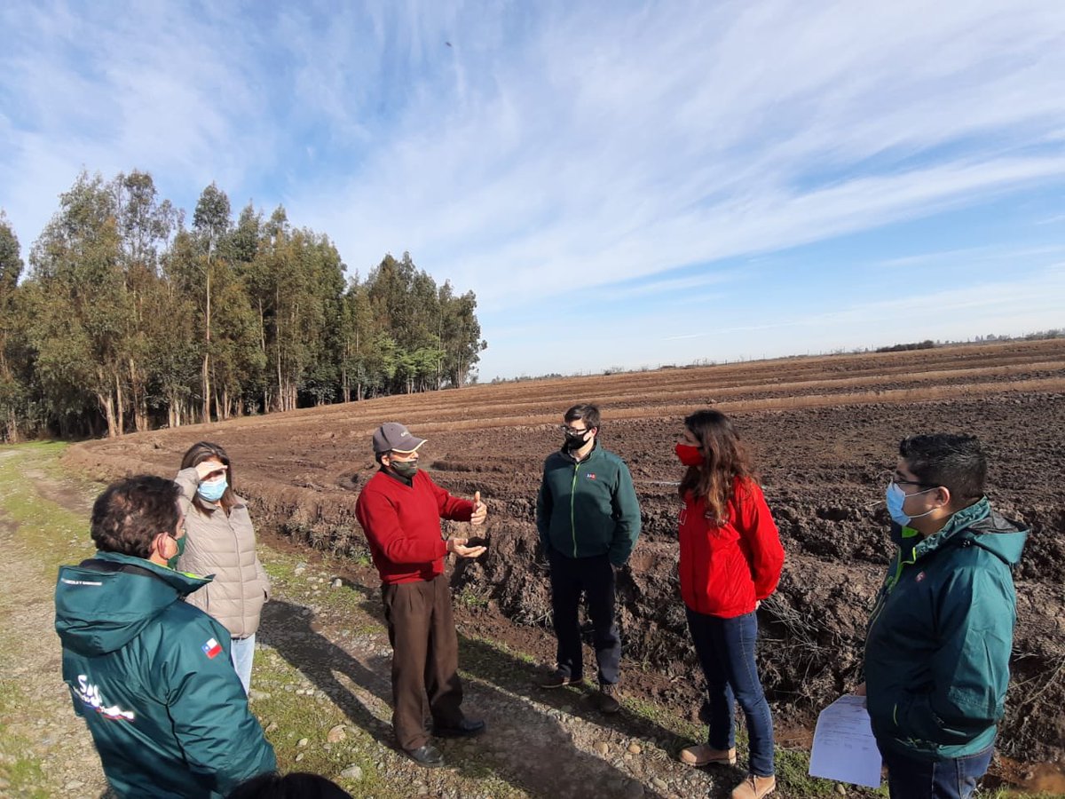 sagchile's tweet photo. Don Luis y Don Eduardo de #Parral, recibieron hoy, de manos de la Seremi de @MinagriMaule @TorresPirazzoli y del DR del SAG, Fernando Pinochet, su cheque por haber cumplido con las prácticas comprometidas en el programa de recuperación de suelos🌱de @sagchile 👏 @muniparral https://t.co/zwCqmHfGmg