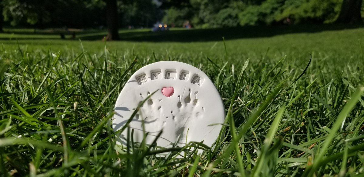 retrozelda's tweet image. I was able to pick up her lil memorial today. I wasn't able to get her vaccinated due to covid, so she never was able to make it to a park. This is the best I can do now. #Ferret