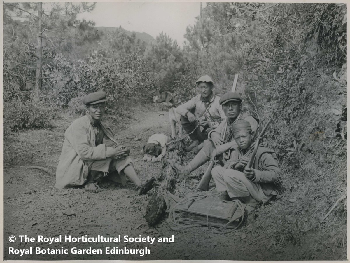 Nat_SCA's tweet photo. Inspiring new blog about decolonising the collections @WSYherbarium
https://t.co/B0wJsb9BlV https://t.co/oHnyRP5w0Q