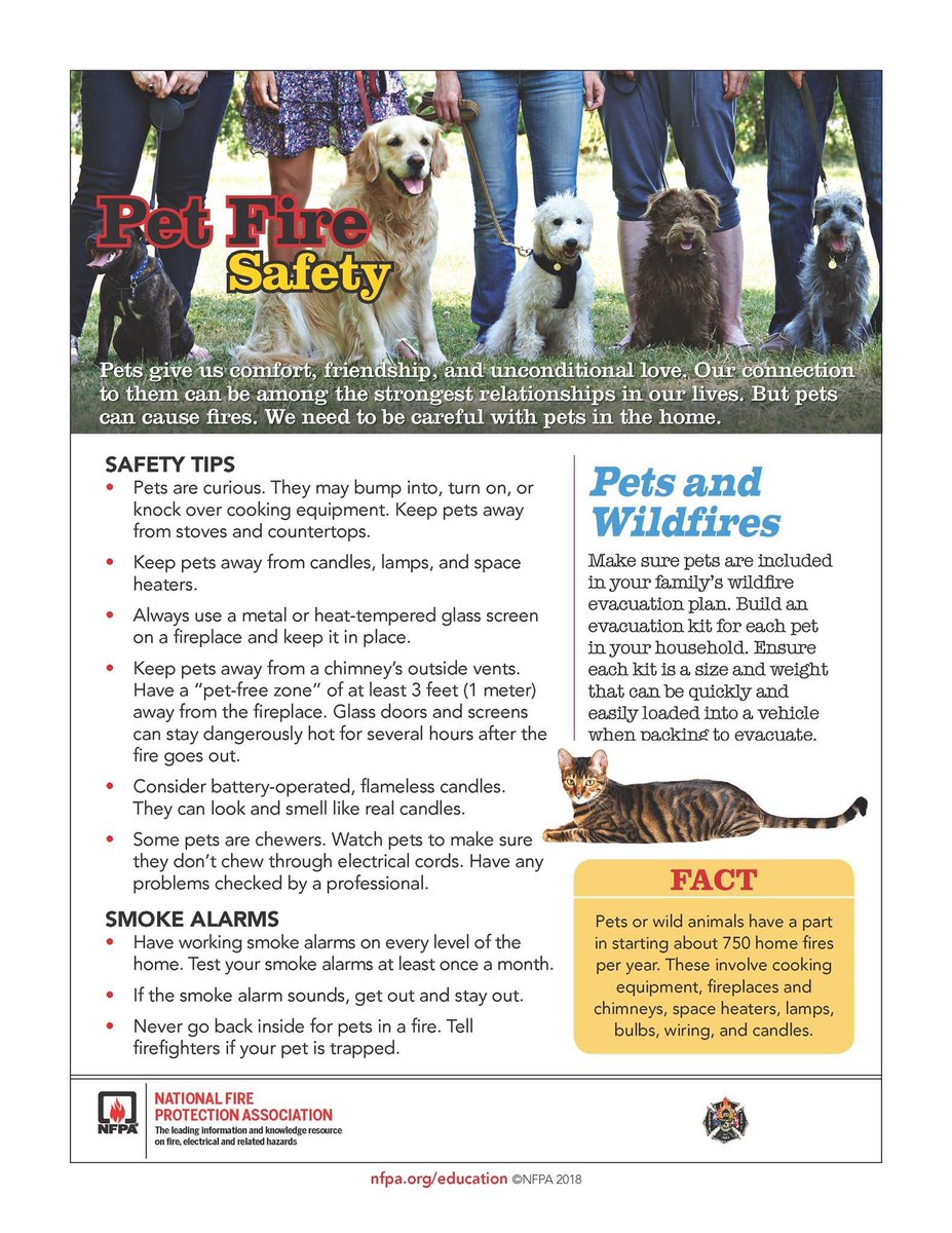 Fernandina Beach Fire Department tweet media