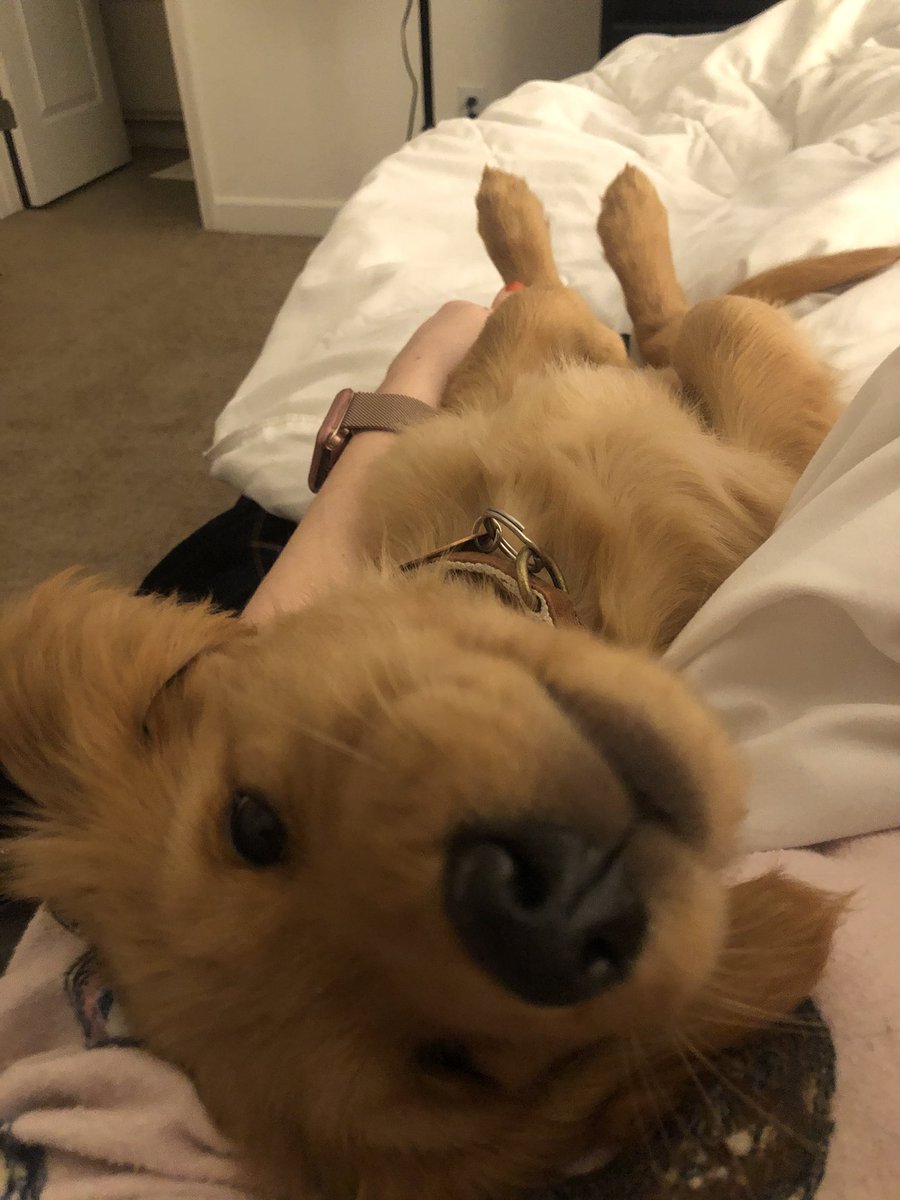 JenniferPiet's tweet photo. I mean this boy is CUTE. https://t.co/Rp00SX2Gjb