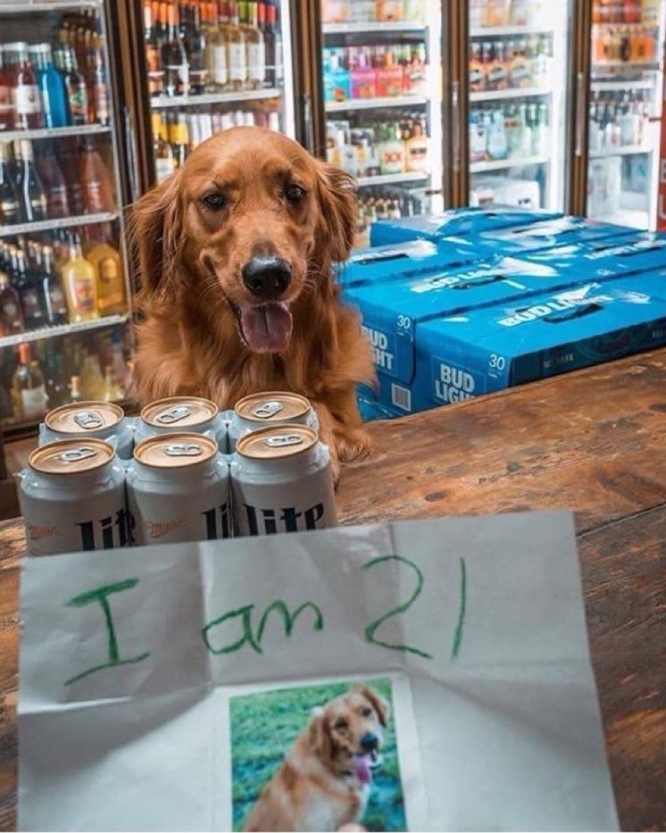 Seems legit