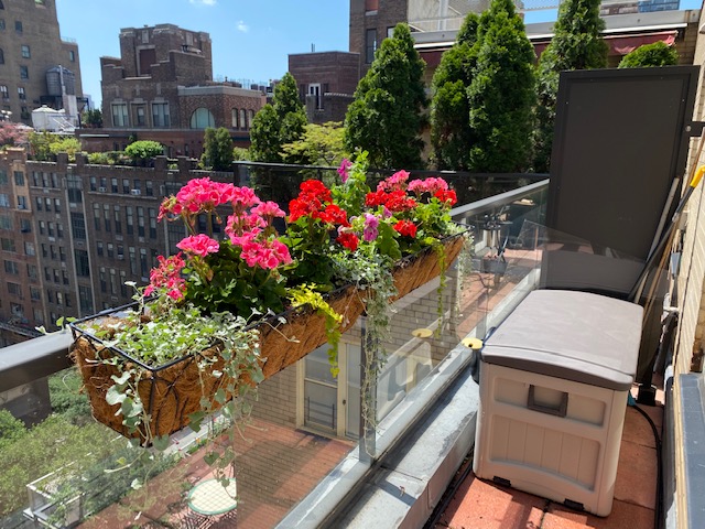 jamescudney4's tweet photo. @LisaDMeyer @MJLaBeff @JessSFrankel @AuthorEllie @MarthaPerezBook @JoePranaitis Thanks for the tag @LisaDMeyer.
Show me something where you live...
I live in NYC and here is a view from my 12th floor terrace this week... #nycterrace
Tagging: @BernardJanWorld @ViperGallo @JacqBiggar @Didi_Oviatt @literarydust @bakeandwrite @jeanleesworld https://t.co/wL3YLXZDFj
