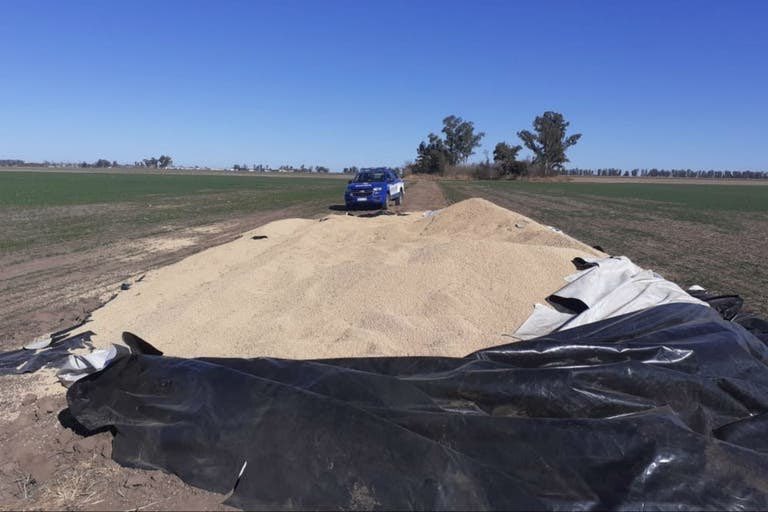 CunhaCristian's tweet photo. Nuevos ataques contra el campo, se registran roturas de silobolsas en Santa Fe y Córdoba. Presidente Fernández, ¿de qué lado dice se encuentran los “odiadores seriales”? https://t.co/Jw2H2AxJWG