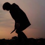 おうちで食べるキャベツの収穫をする奥様の写真…包丁が写っていて狂暴レベルがすごい!