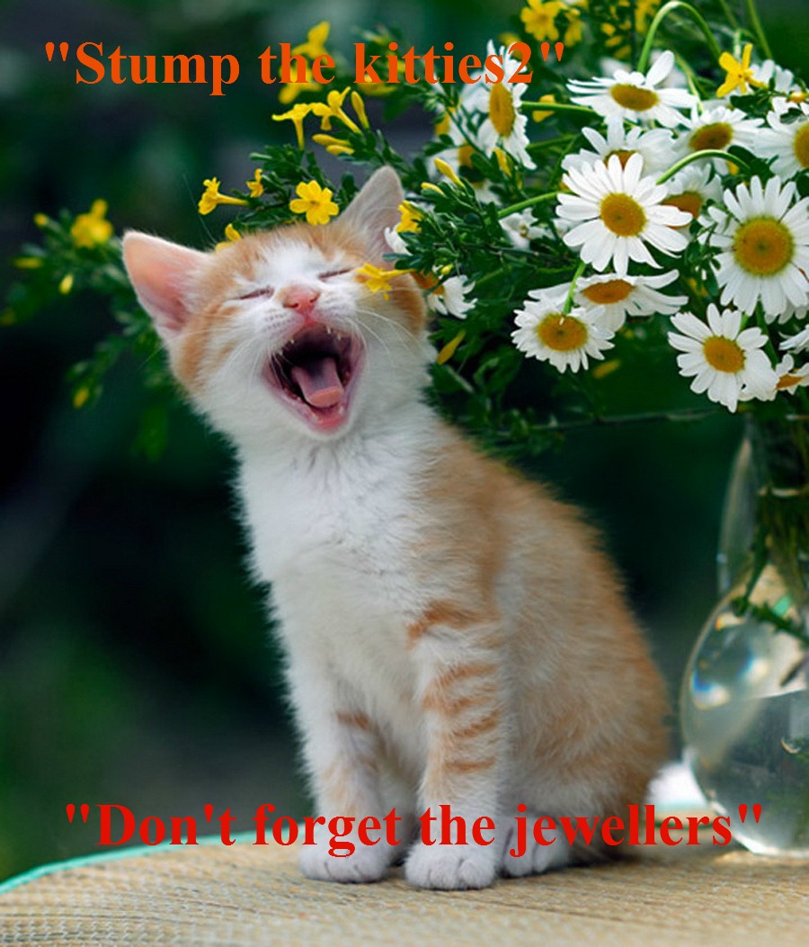 kittyguy77's tweet image. Still have gastric flu sick so here is some of my oldies