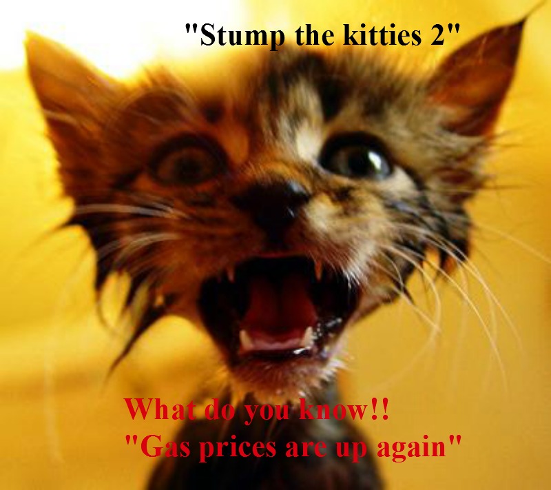 kittyguy77's tweet image. Still have gastric flu sick so here is some of my oldies