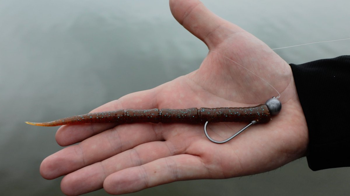 With the blunt head and sensitive tapered tail, the Fluteworm is deadly on a shakey head rig! #Powerbait #BerkleyFishing #BassFishing #ShakeyHeadRig #Fluteworm