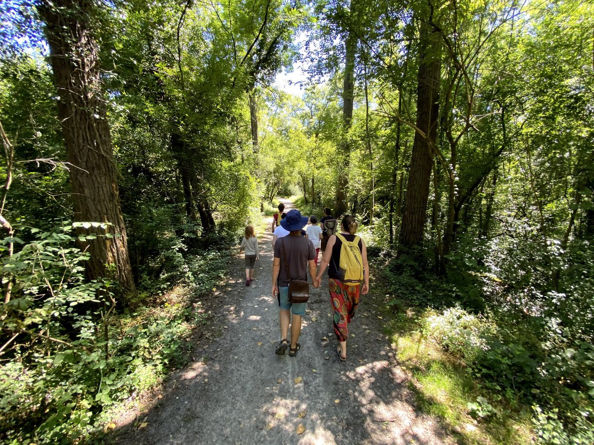 RenardSavant's tweet photo. 🎭🌳 Nature en Scène, du samedi 4 juillet est une réussite ! 😁
La météo, le public, les animations étaient au rendez-vous 🌿☀️
Découverte du #rhône et des lônes, ainsi qu'une nature préservée et protégée par le #SMIRIL proche de #Lyon.
#insolite #environnement #actu https://t.co/p5taBUVT30