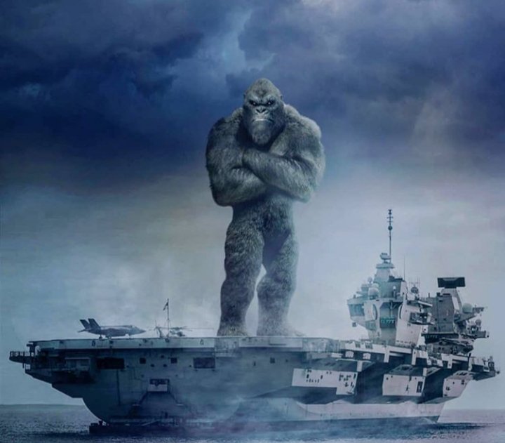 MccloudWalter's tweet photo. That happy feeling you get when you see Kong of Skull Island riding on his new surf board.
#Lanard
#actionfigures
#gijoecommunity
#gijoe
#yojoe
#kongskullisland
#monsterverse
#TheCorpsMultiverse
#StayHomeAndPlayHard
#StopBuyingOutdatedSoldiers https://t.co/j4fvnJYNBC