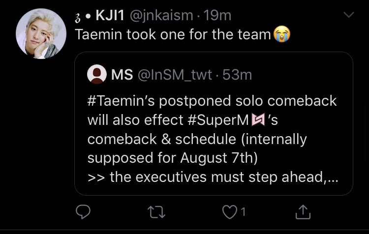 Minhosvalkyrie's tweet photo. If your celebrating an idols injury so you can get a solo from your fav, you are the worst kind of person, and have earned a spot on #TheBlockList https://t.co/ZjsfCo13Im