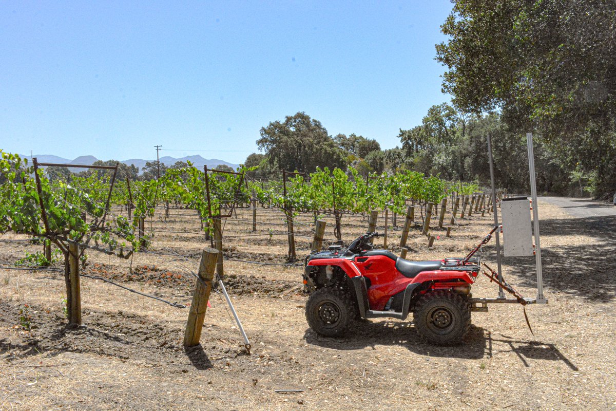 TerroirAI's tweet photo. From a recent demo of our computer vision system in Napa - It was a beautiful day to count grape clusters. #Napa #agtech https://t.co/fJ47qV31lq