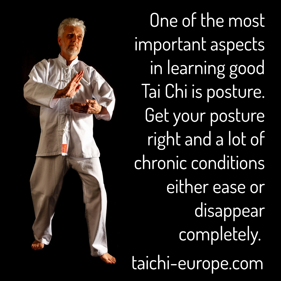 TaiChi_Europe's tweet photo. One of the most important aspects in learning good Tai Chi is posture. Get your posture right and a lot of chronic conditions either ease or disappear completely. http:// https://t.co/S7kV19fI2W #taichi #qigong #johnhine #hinetaichischools https://t.co/J6tYcnL8ij