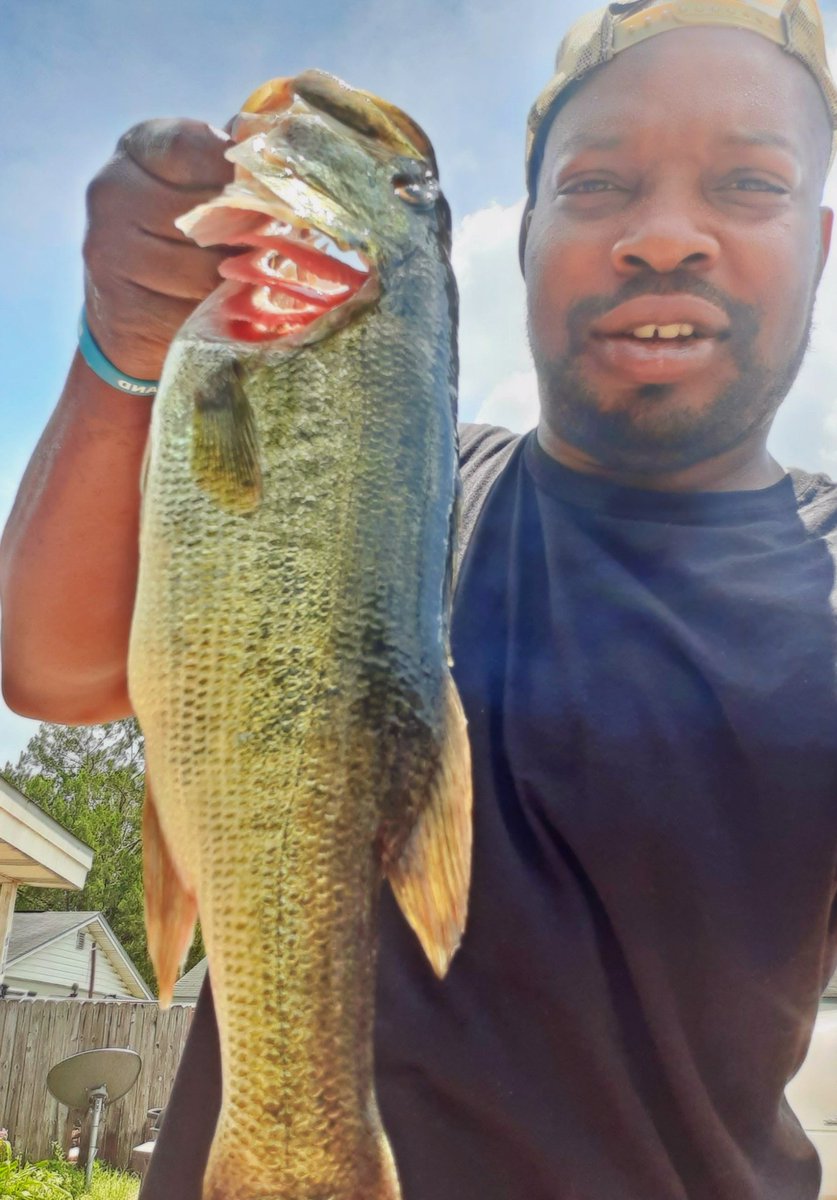 JD_FutUREPres's tweet photo. Look at the gills on this 1๐ฒ๐ฎ
A big mouth catch, baby ๐๐ฃ
About 17 inches ๐ช
#Bassfishing #bass #Fish #Southernfun #greatpull #mood
#WednesdayVibes ๐๐๐ https://t.co/G2HSazcDBN