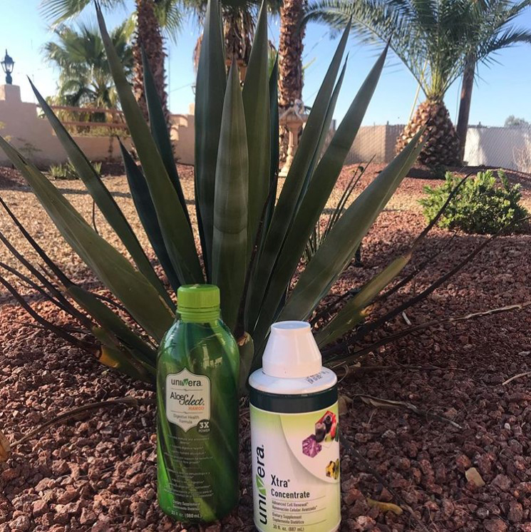 UniveraNation's tweet photo. The Perfect Combo 😍 What's your favorite way to take Aloe Select Mango and Xtra?  

📸by: @bevrsaunders 

#univeraxtra #univeraaloe #bestofnature #aloe #aloevera #guthealth #healthyliving #naturalproducts #healthyproducts #univeranation https://t.co/3Ep4cULNGH