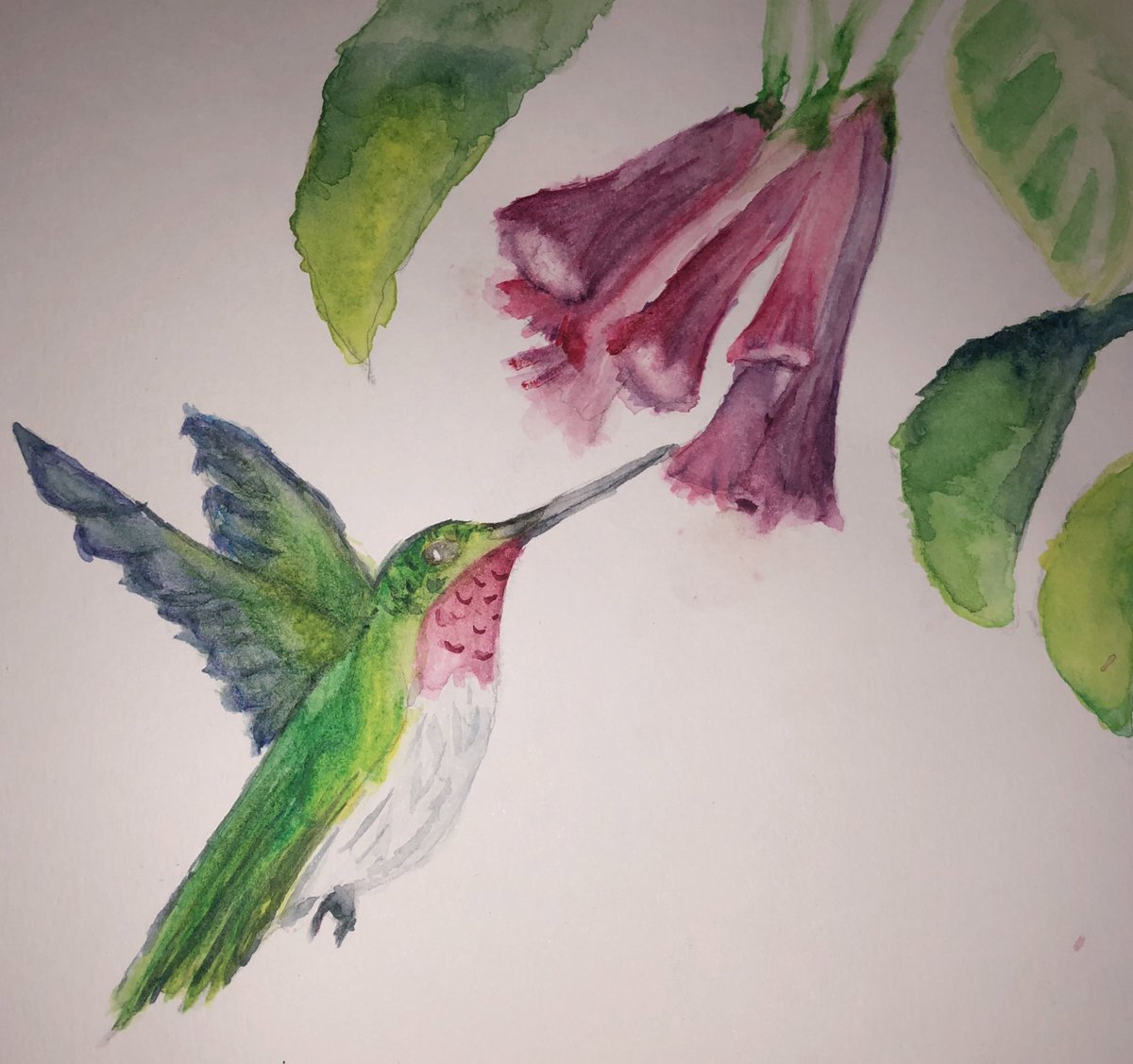 Eleanor Cusack tweet media