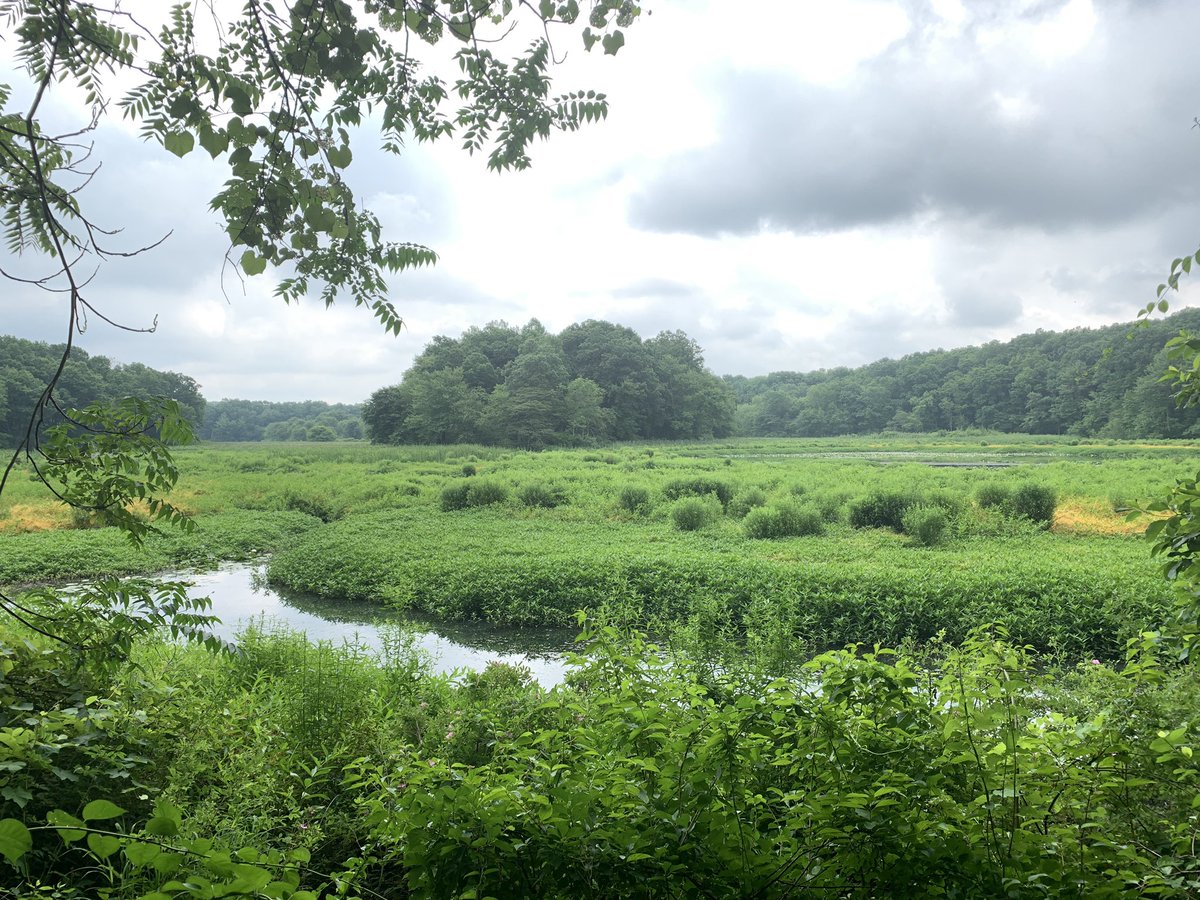 MommyUnj's tweet photo. We enjoyed a nice #familyhike at #WaterlooVillage today! #hikenj #getoutside #hiking @GetOutsideNJ #njstateparks https://t.co/EX4v80Kk4B