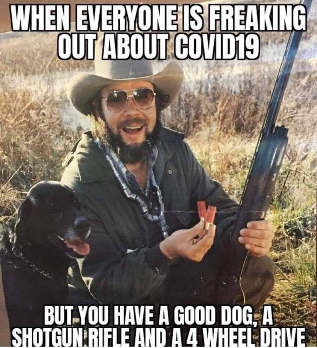 ladderstands's tweet photo. And deer meat in the freezer!! 🦌🤘🏼
#deermeat #gooddog #shotgun #gotguns #4wheeldrive #covid-19 #notfreakingout #chillout #wegood #countrylife #outdoors #therapy https://t.co/ciZzraus88