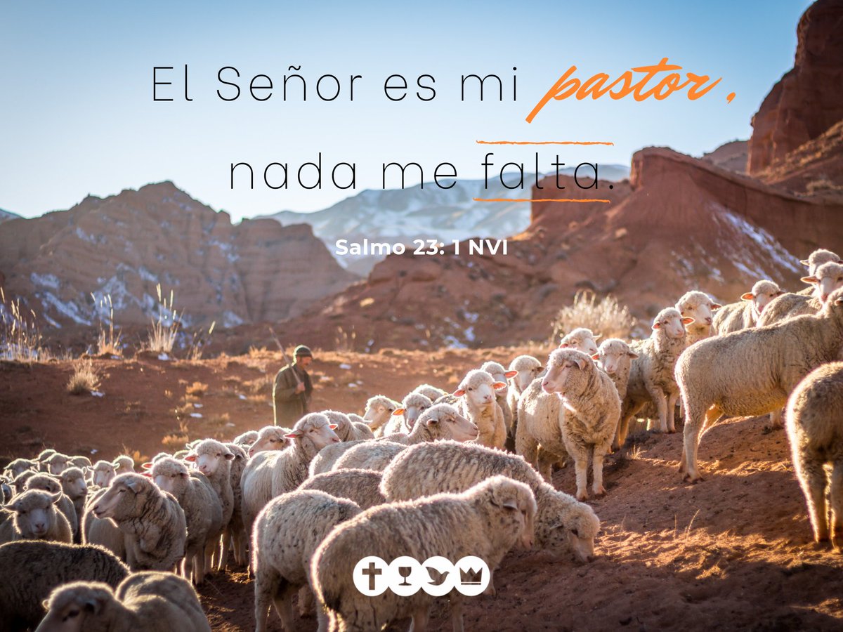 igle_cuadrang's tweet photo. Y aunque estés en valle de sombra y muerte, no temas porque él está contigo. 🙏
#ElSeñorEsMiPastor https://t.co/w4bxRqkVK1