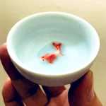 お酒を注ぐと金魚が泳いで見える!？香港で買った盃が素敵!
