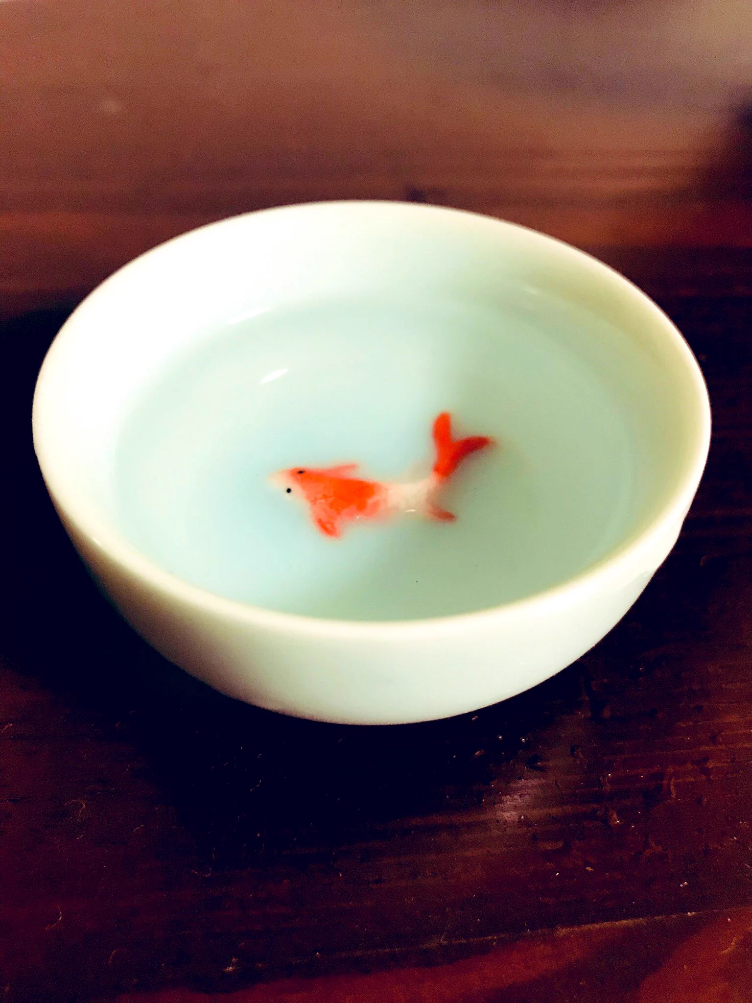 お酒を注ぐと金魚が泳いで見える！？香港で買った盃が素敵！