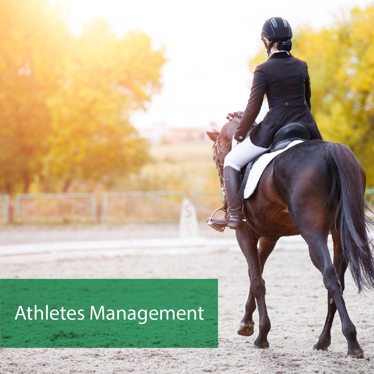 AdaaEquestrian's tweet photo. Athletes need to take care of their physical health; we provide you with a full training program including a customized workout routine and a nutritional plan.
Learn more about our Athletes Management service:
https://t.co/wGy7bjyBtG https://t.co/dCfyMJZoWg