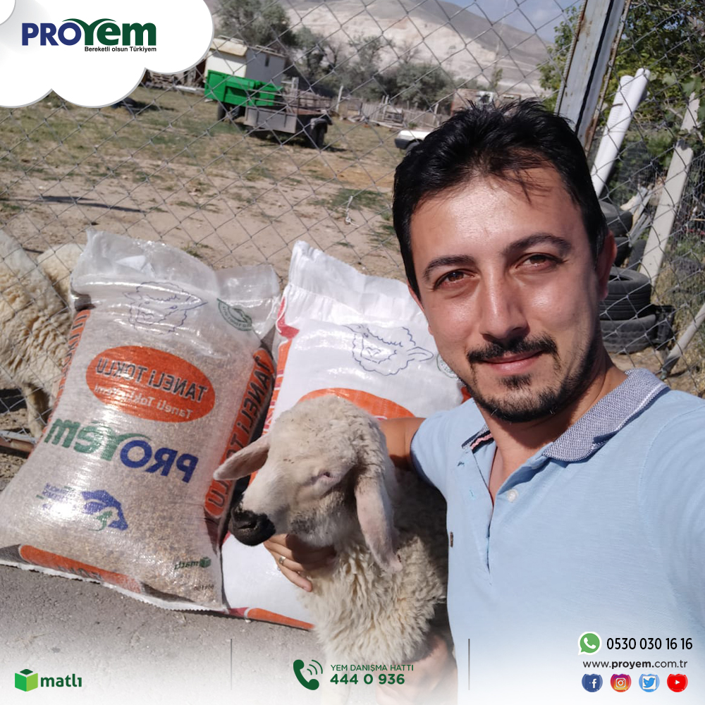proyemmatli's tweet photo. Niğde bölgesinde küçükbaş kurbanlıklar Proyem kalitesi ile güvence altında :) Bereketli Olsun!⠀
#küçükbaş #proyem #yem #toklu #hayvancılık #kurbanlık #kurbanbayramı https://t.co/mPrWLydRhZ