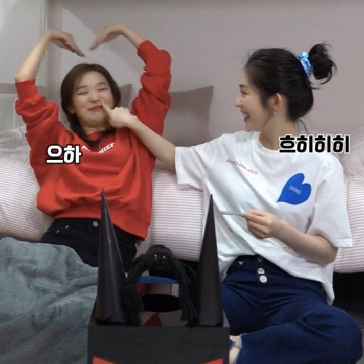 wanwansforehead's tweet photo. sign(s) that you are part of irene’s “most precious, must protecc” loves https://t.co/RMPVw3QbIc