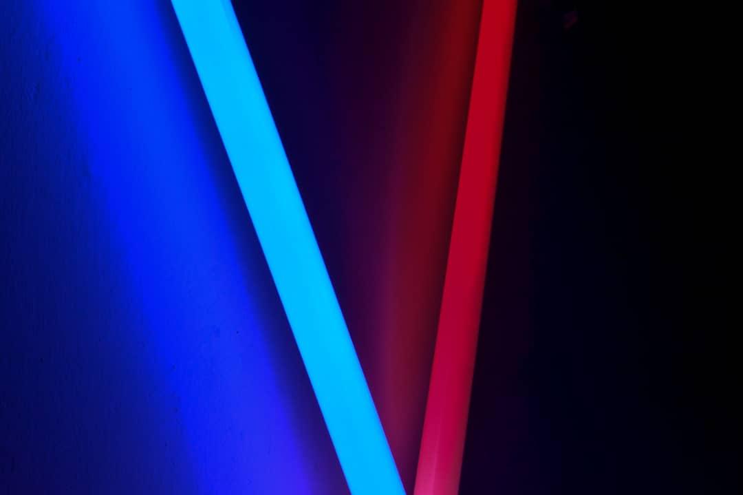 Palm Tree Media. tweet media