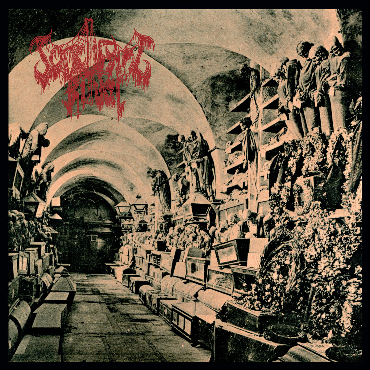 deadlystormzine's tweet photo. review - SANCTIFYING RITUAL - Sanctifying Ritual (2020):https://t.co/xARSz1eqwI #sanctifyingritual @BoneheadIron @DMTMPromo @DiscosDeath @deathmetaldotme #Deathmetal #Review #Metal #MetalNews #metalworld #metalhead #NewAlbum #NewMusic #musicnews #listen #NewReleases #Album #news https://t.co/RGdW40LtyN