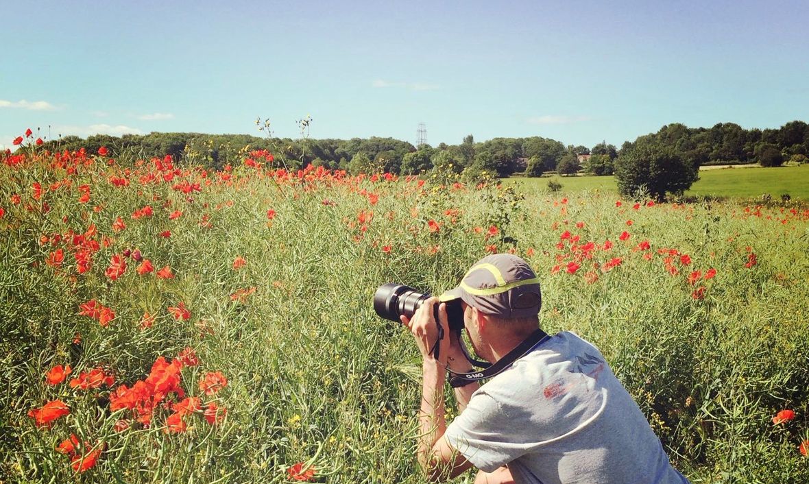 ImagesWithStories tweet media