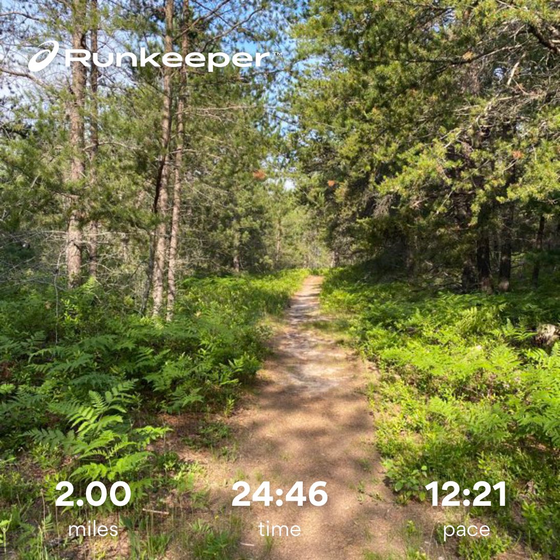 RVOutlawz's tweet photo. Loved this beautiful #run today! #PureMichigan #upperpeninsula #running #trails https://t.co/QwL5exsvXE