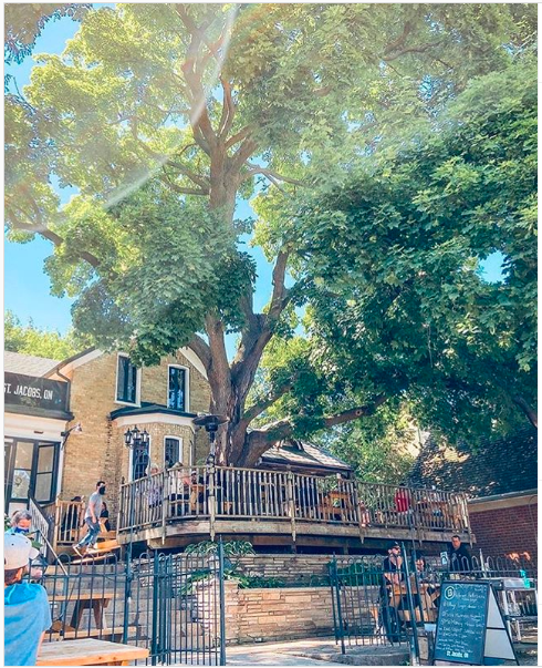 Woolwichupdates's tweet photo. Beat the heat on one of our amazing local patios today!
#SupportLocalEats #ShopLocalWoolwich https://t.co/1qfXpDZjB9