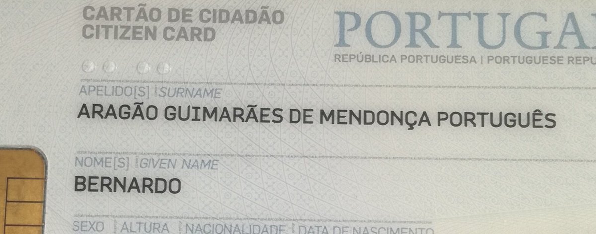 BernardoPortugues tweet media