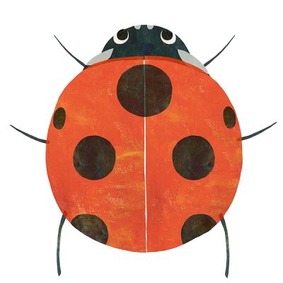 稲葉 司 Auf Twitter カフェで休憩してたら てんとう虫が歩いて横切って行った てんとう虫は幸運の印 さぁいい事起きるかな