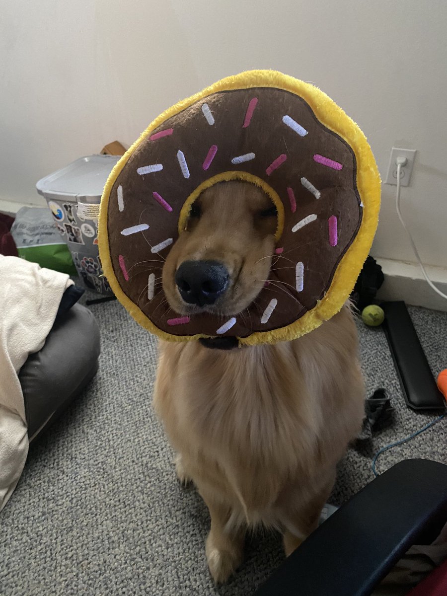 Goob mornin. Donut stuck. Send help.