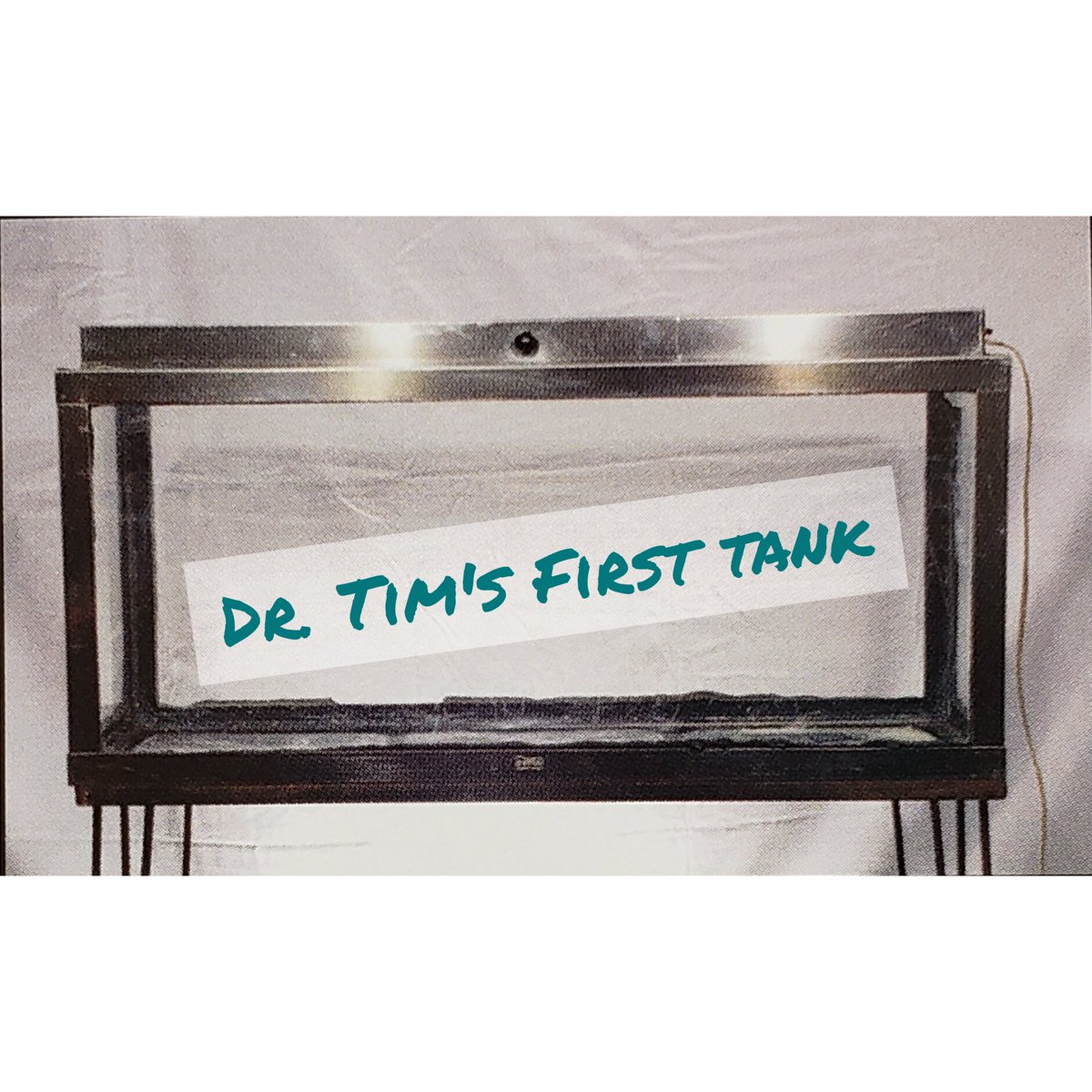 drtimsaquatics's tweet photo. What did your first fish tank look like? Tag us in a photo!⤵️
This is Dr. Tim's very first fish tank. Just like many of us, he started out as a hobbyist before moving on to create the products we know and love.
#firsttank #aquarium #originstory #drtimsaquatics https://t.co/62GLi5RWg7