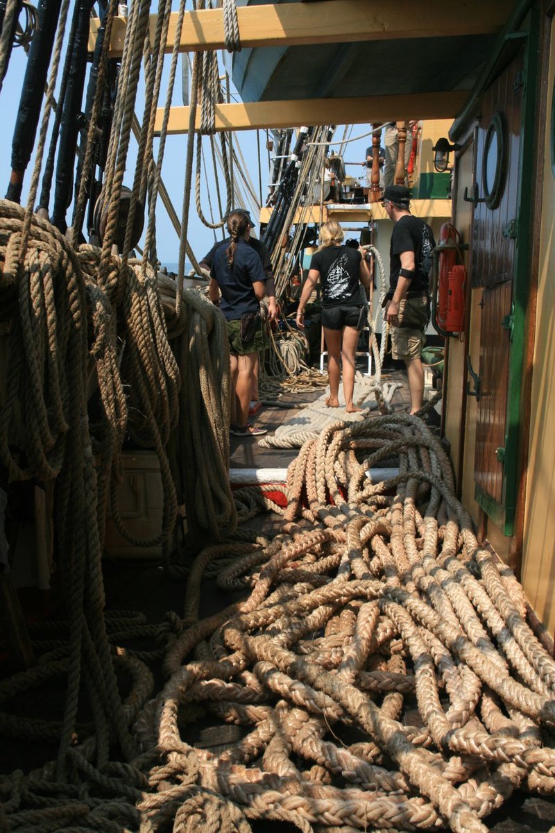 picton_castle's tweet photo. Rope galore on deck of the #PictonCastle! It takes a lot of hands to help move these heavy pieces of rope around the ship. 
•
•
•
#TallShip #TallShipLife #Adventure #TeamWork #Crew #ShipsCrew https://t.co/Lu6iDd9WFW