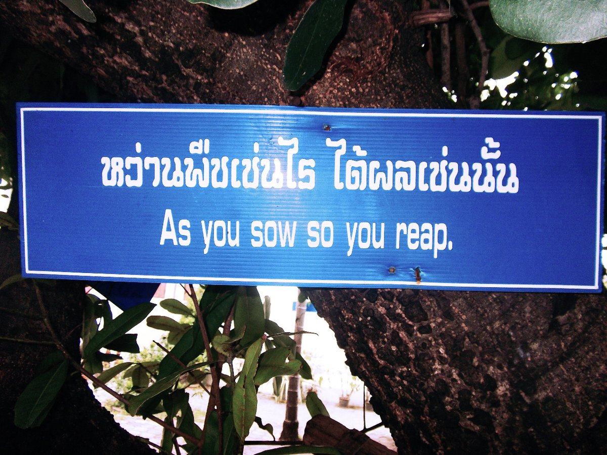 AlSonLocal tweet picture