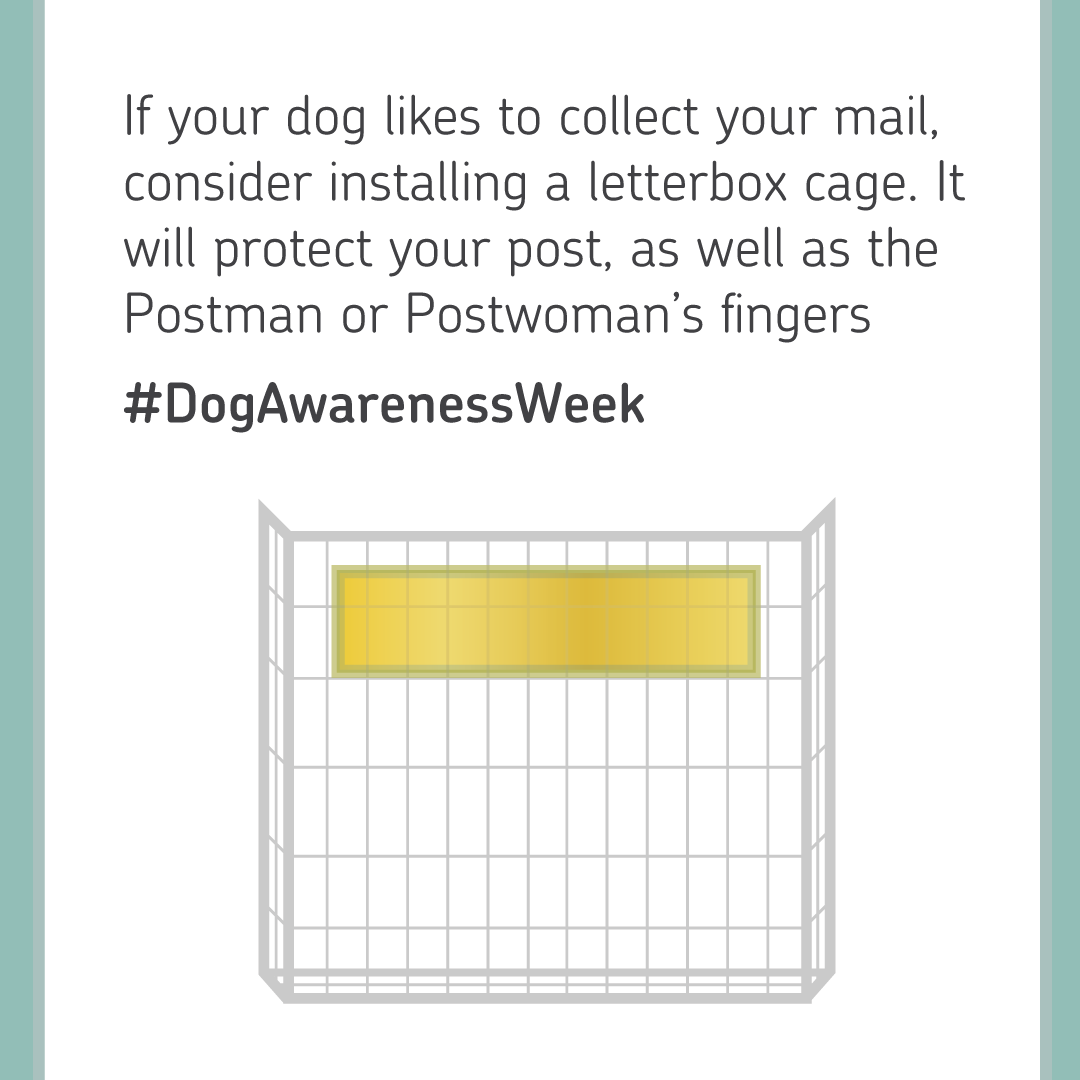 RoyalMail's tweet photo. Did you know that 37% of the dog attacks happen at the door or at the letterbox?

Help us reduce the number of dog attacks on postal workers – be a responsible dog owner. 

Visit https://t.co/mLpBHr6VRO for advice and tips.

#DogAwarenssWeek https://t.co/twnmBhnRhz