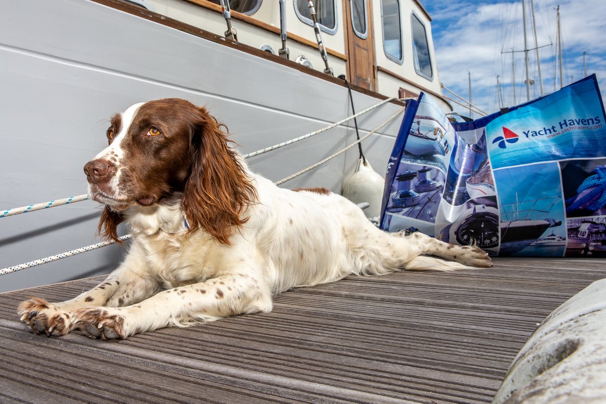 Lymington Yacht Haven tweet media