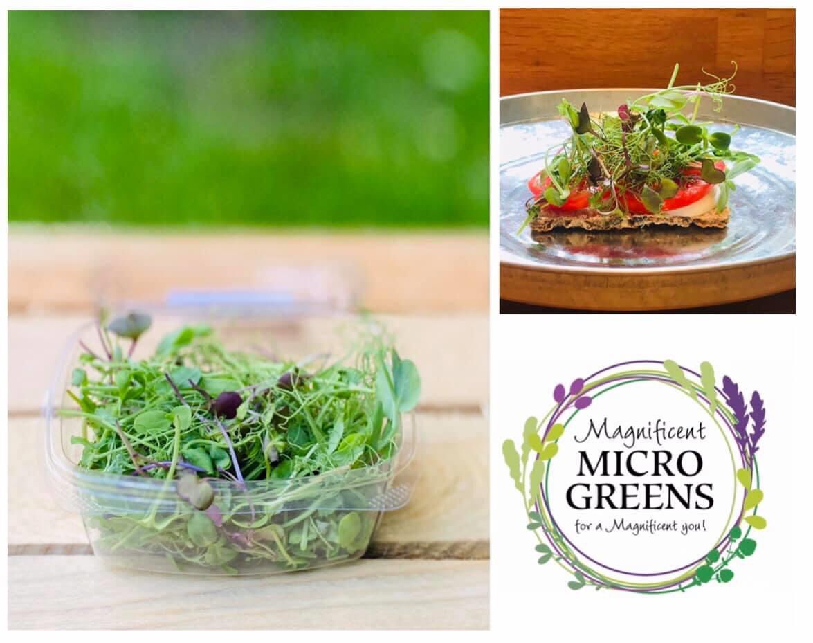 Microgreens 🌱 available collection on Friday Peashoots £2.40/30g 
Sunflower Shoots£2.40/30g
Radish Microgreens£2.40/30g
Rocket Microgreens£2.20/20g
Summer Mix 30g /£2:40 Please text or call07702207387 with your order and we will contact you for payment time slot