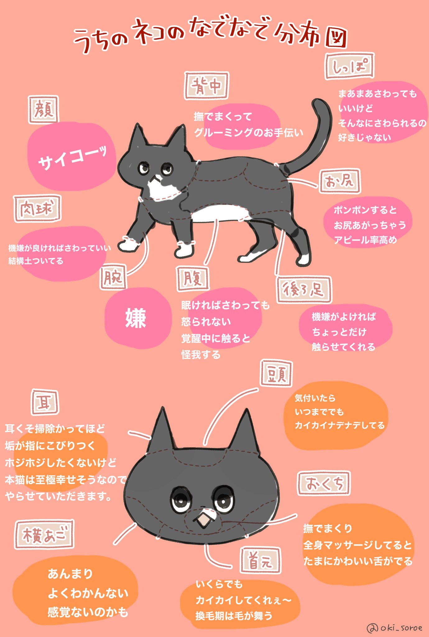 うちのネコのなでなで分布図 Twitter