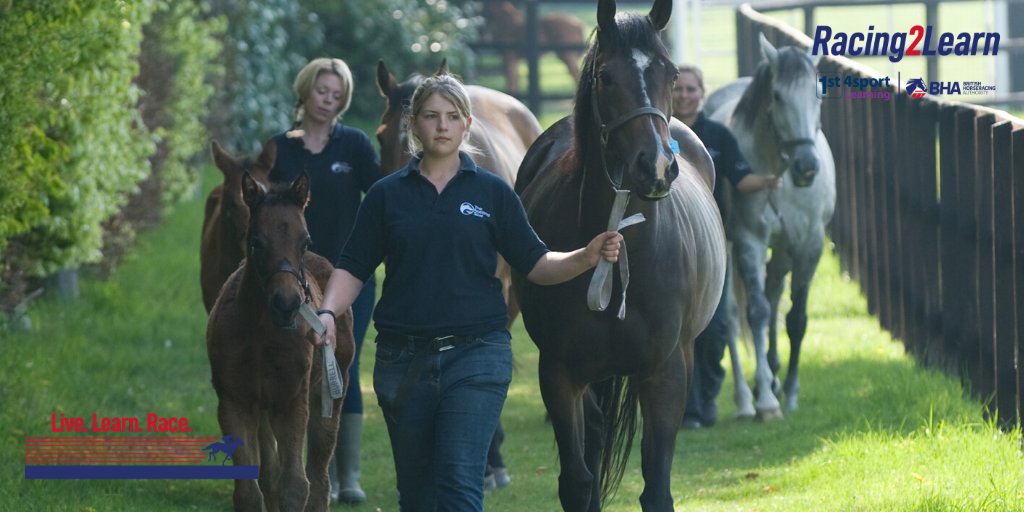 Do you have an interest in the thoroughbred breeding industry? If so, this 𝗙𝗥𝗘𝗘 eLearning course, which will take less than 60 minutes to complete, is for you. bit.ly/3cL1ms0
#ThoroughbredBreeding #DistanceLearning