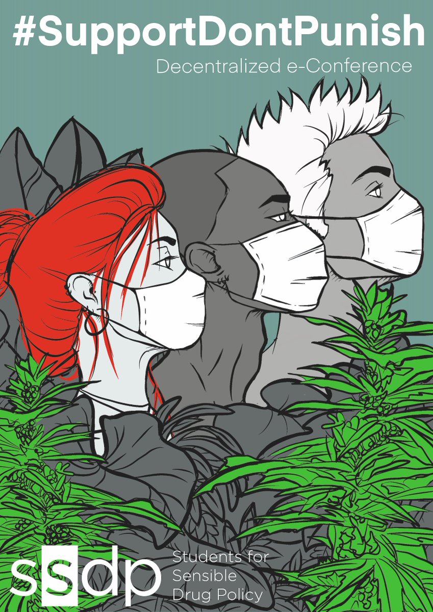 Paradigma tweet media