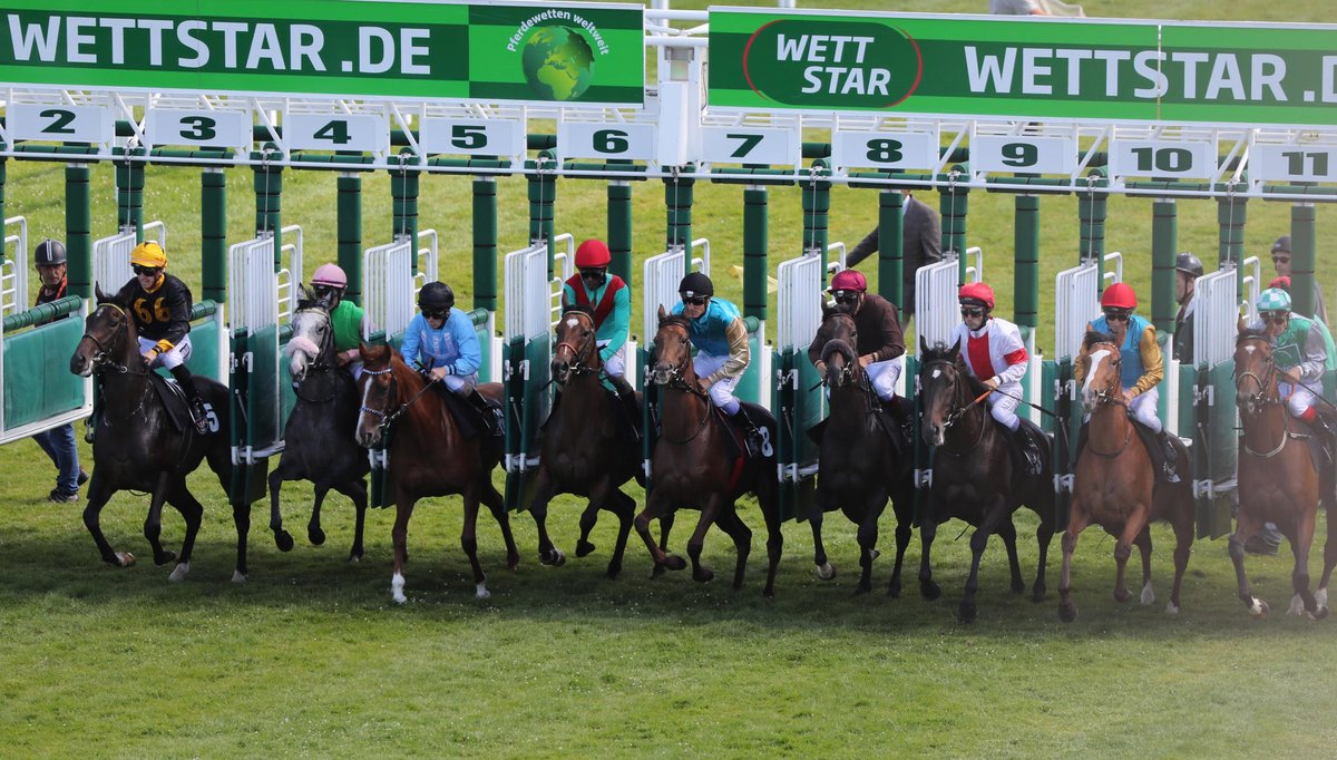 SPORT1 Public Relations tweet media