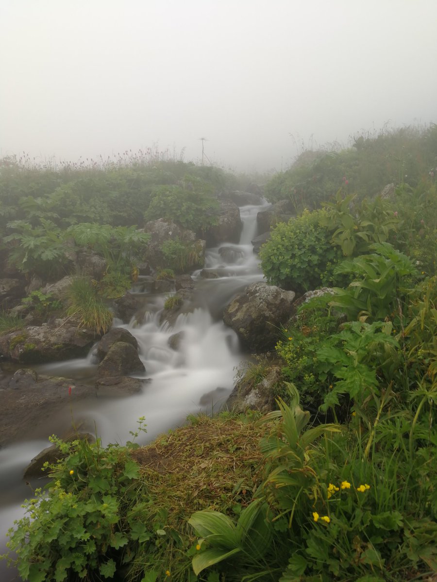 السرعه والغضب (@fastandfuris) on Twitter photo 