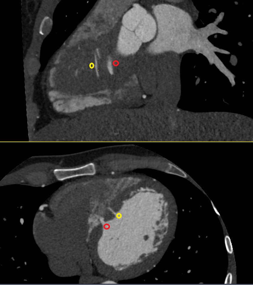Seth Uretsky tweet media